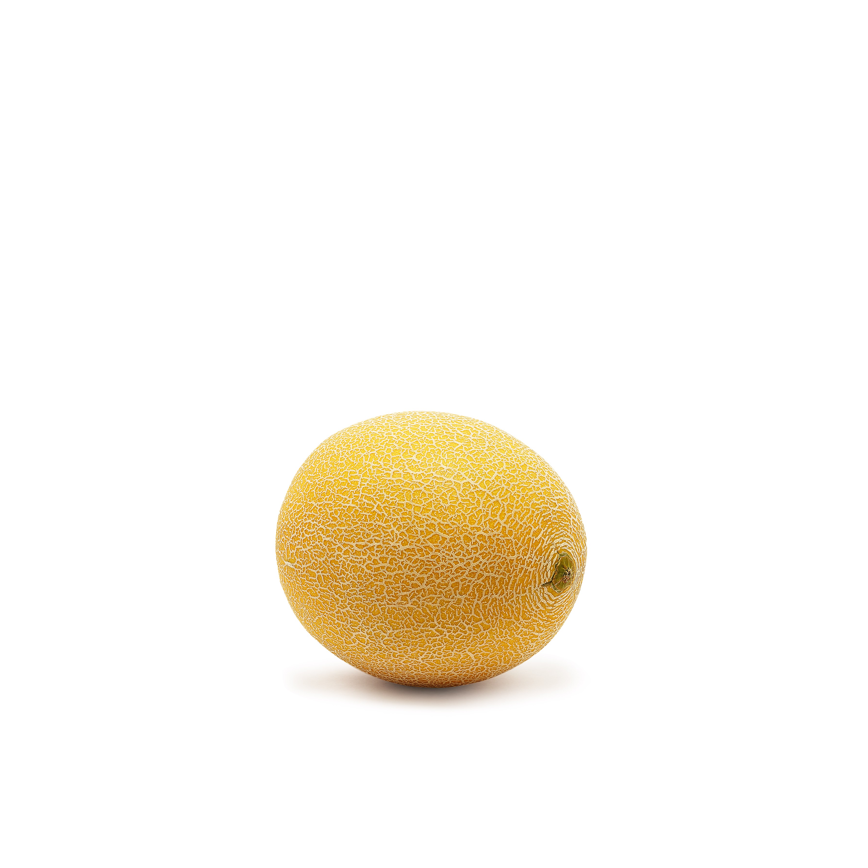 Galia Melon